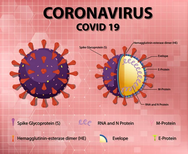 Illustrazione Della Struttura Delle Particelle Virali Corona — Vettoriale Stock