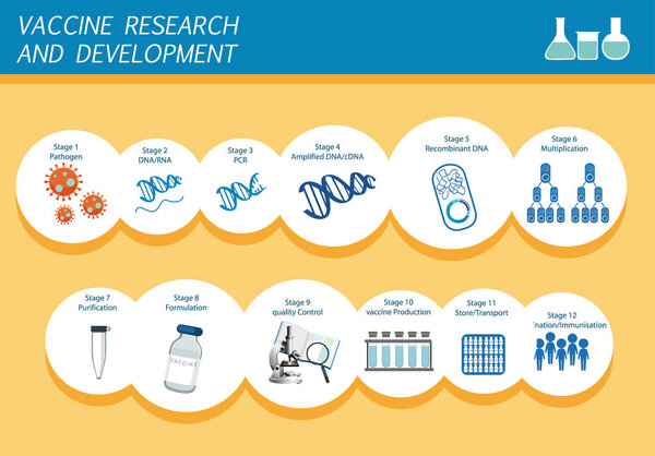 Vaccine research and development infographic illustration