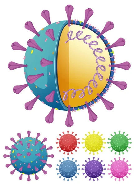 Schéma Illustration Structure Des Particules Virus Corona — Image vectorielle
