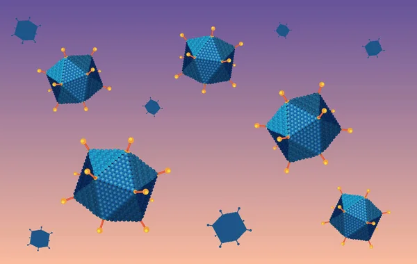 Schéma Structure Adénovirus Sur Illustration Fond Blanc — Image vectorielle