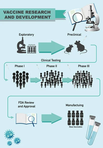 Infografische Illustration der Impfstoffforschung und -entwicklung — Stockillustration Infografische Illustration Der Impfstoffforschung Und Entwicklung — Stockvektor