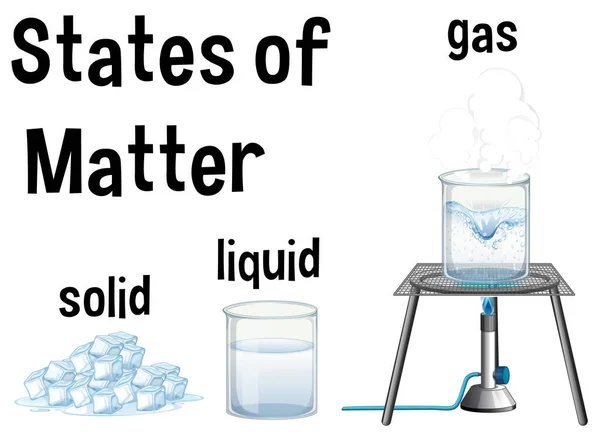 Educación Científica Los Estados Materia Ilustración — Vector de stock