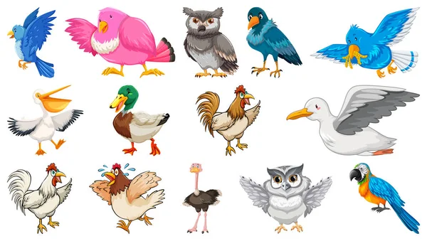 Set Different Birds Cartoon Style Isolated White Background Illustration — Stock Vector