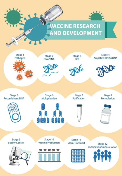 Vaccinera Forskning Och Utveckling Infographic Illustration — Stock vektor