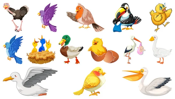 Conjunto Diferentes Aves Estilo Dibujos Animados Aislados Sobre Fondo Blanco — Vector de stock