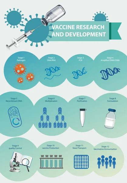 Vaccinera Forskning Och Utveckling Infographic Illustration — Stock vektor