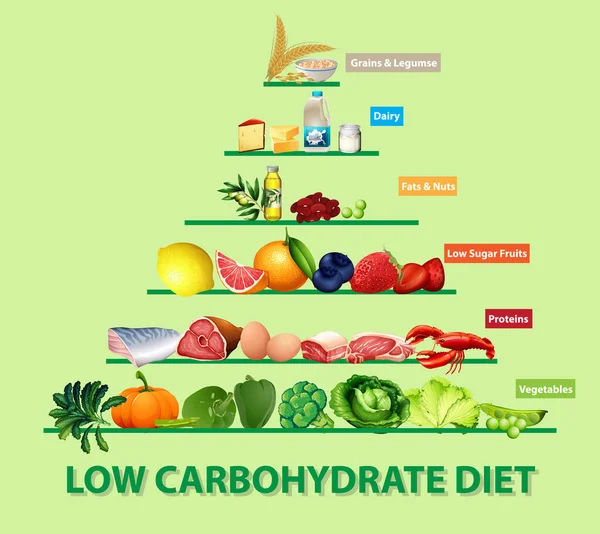 低碳水化合物饮食图说明 — 图库矢量图片