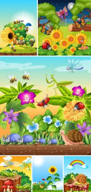 Bahçe arka planında yaşayan bir grup farklı böcek.