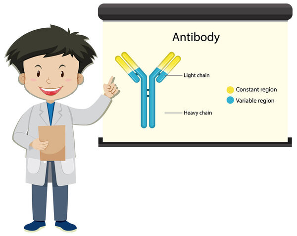 A doctor with Antibody on projector screen in cartoon style illustration
