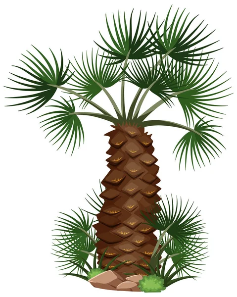 Palmen Mit Naturelementen Auf Weißem Hintergrund — Stockvektor