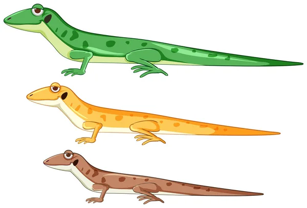 Geckos Lézards Dans Différentes Couleurs Dessin Animé Style Illustration Isolée — Image vectorielle