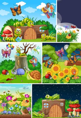 Bahçe arka planında yaşayan bir grup farklı böcek.