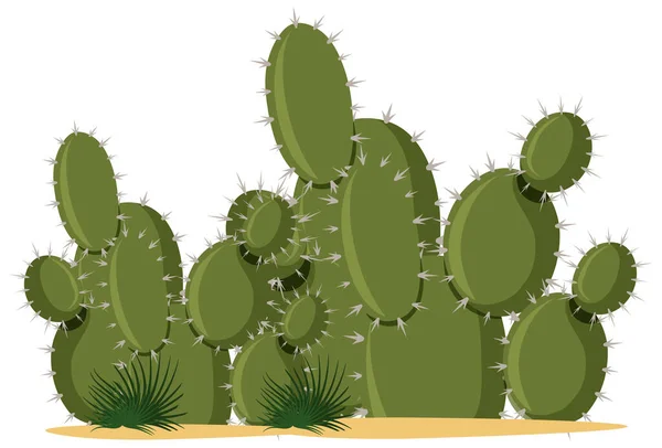 Catus Plantes Dessin Animé Style Sur Fond Blanc Illustration — Image vectorielle