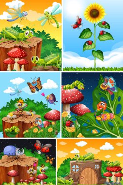 Bahçe arka planında yaşayan bir grup farklı böcek.