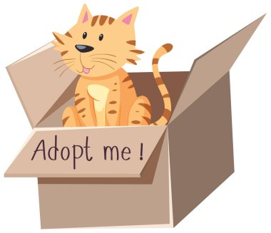 Kutudaki şirin kedi ya da kedi yavrusu, karikatür karikatüründeki izole resimde bana bir mesaj gönder.