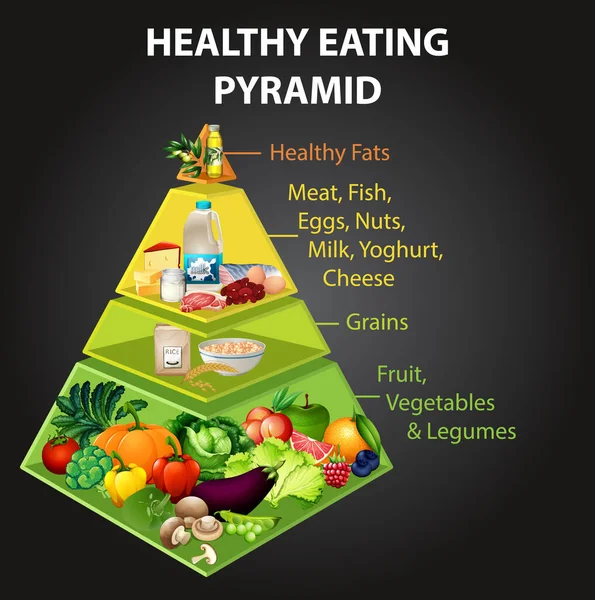 健康饮食金字塔图说明 — 图库矢量图片