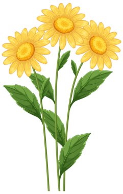 Yeşil yapraklı parlak sarı ayçiçekleri doğa tasarımı için temiz ve detaylı bir vektör çizimi.