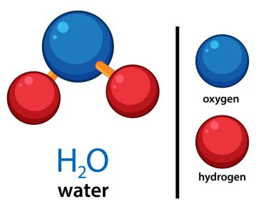 Etiketli oksijen ve hidrojen atomlarıyla H2O molekülünün vektör çizimi, düz stil