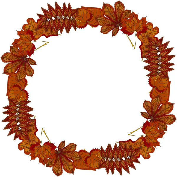 Wreath Autumn Leaves Rowan Oak Maple Chestnut Birch Linden Vector — Stock Vector