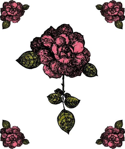 Rose Περιβάλλονται Από Τέσσερα Μπουμπούκια Των Τριαντάφυλλων Σχεδιάζοντας Χέρι Διάνυσμα — Διανυσματικό Αρχείο
