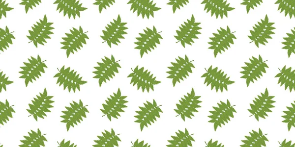 Patrón sin costuras de hojas verdes de serbal sobre un fondo blanco. Vector . — Vector de stock