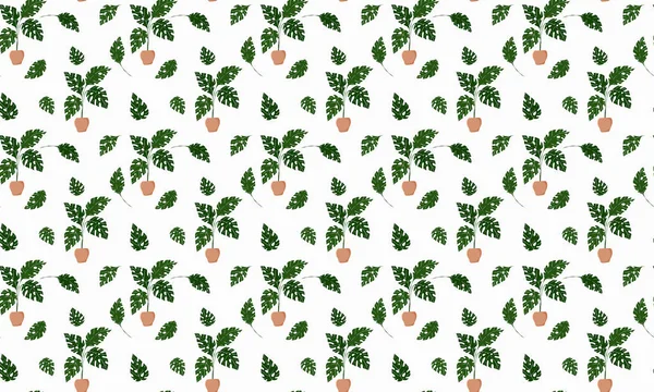 Scandinavian style seamless pattern. Tropical monstera plants growing in pots and single leaves on a white background. For fabric, wrapping, textile, etc. Vector. — Stock Vector