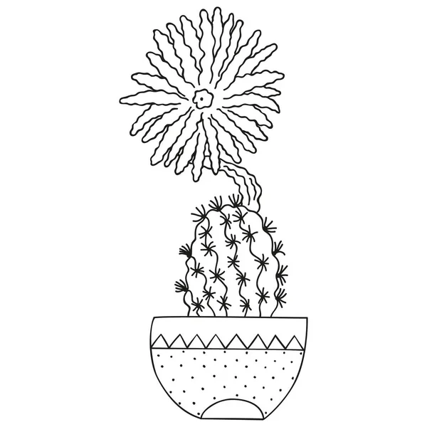 Siyah ve beyaz sediechinopsis mirabelis ve saksıda çiçek açan bir çiçek. Çiçekli kaktüs. Boyama sayfası için izole edilmiş botanik karalama. Vektör.
