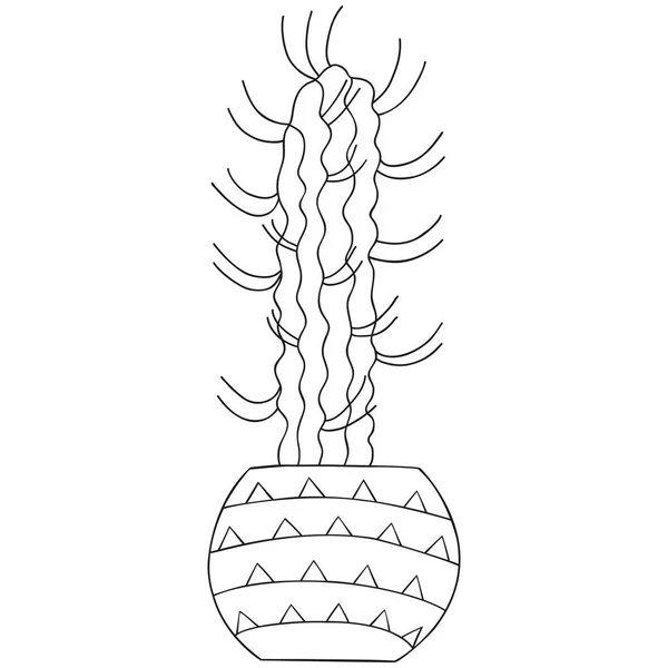 在一个罐子里生长着孤立的黑白相间的Eulychnia仙人掌B — 图库矢量图片