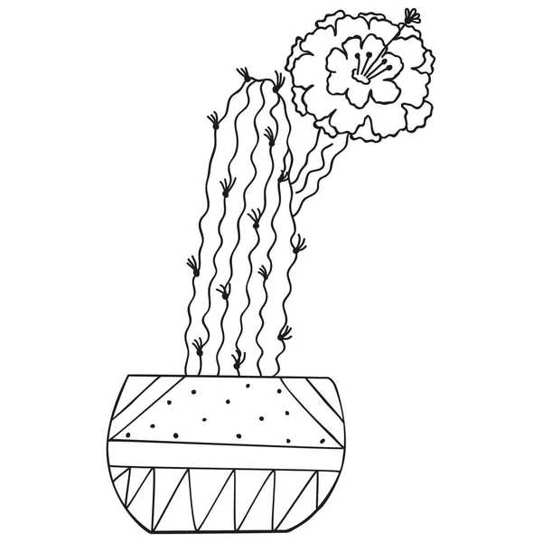 Zwart Wit Haageocereus Cactus Groeit Een Pot Scandinavische Stijl Vector — Stockvector