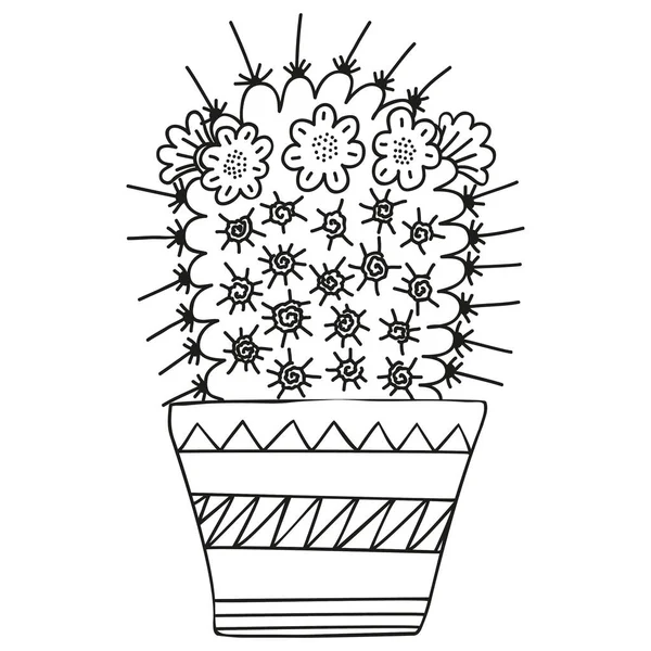 Siyah ve beyaz Mammillaria magnamma ve çiçek açan çiçekler İskandinav tarzında bir çömlekte yetişiyor. Boyama kitabı, grafik tasarımı, logo için kaktüs. Basit bir karalama. Vektör.