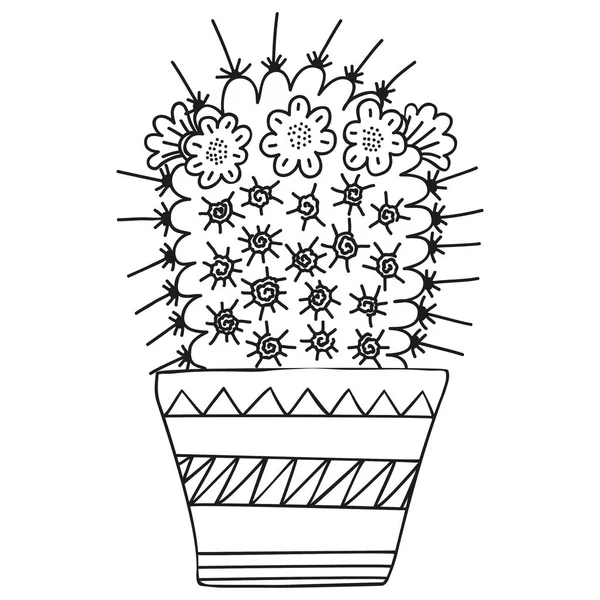 Fekete Fehér Mammillaria Magnamma Virágzó Virágokkal Skandináv Stílusban Kaktusz Kifestőkönyvhöz Jogdíjmentes Stock Vektorok
