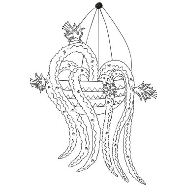 Featured image of post Hanging Plant Svg Free