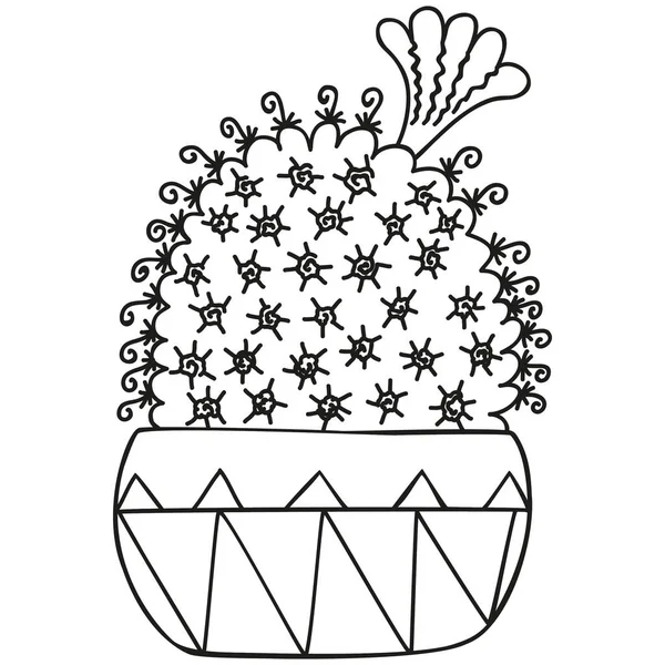 ポットに成長した上から花を咲かせる黒と白のMammillaria Bocasana 着色本 グラフィックデザインのためのサボテン 多肉植物だ ベクトル — ストックベクタ