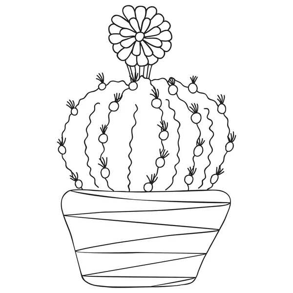 Gestileerde Zwart Wit Astrophytum Ornatum Cactus Met Een Bloeiende Bloem — Stockvector