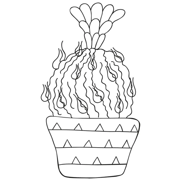Black White Isolated Astrophytum Long Spines Flower Monochrome Cactus Pot — Stock Vector