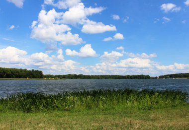 Güzel manzara mavi gökyüzü ile yeşil çim ve sazlık arka planı büyük bir göl su üzerinde beyaz bulutlar. Yaz günü, vahşi bir yer nerede insanlar nadiren görünür.