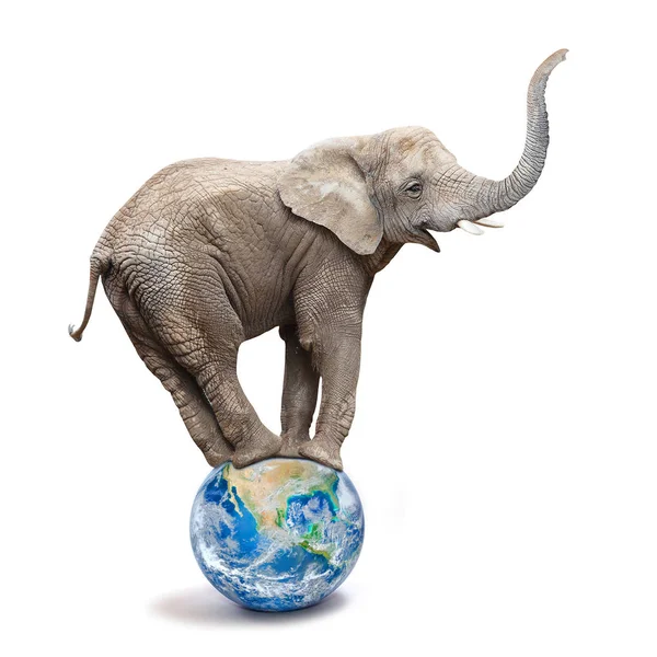 Elefante Africano Loxodonta Africana Balanceando Planeta Azul Globo Metáfora Ecológica — Fotografia de Stock