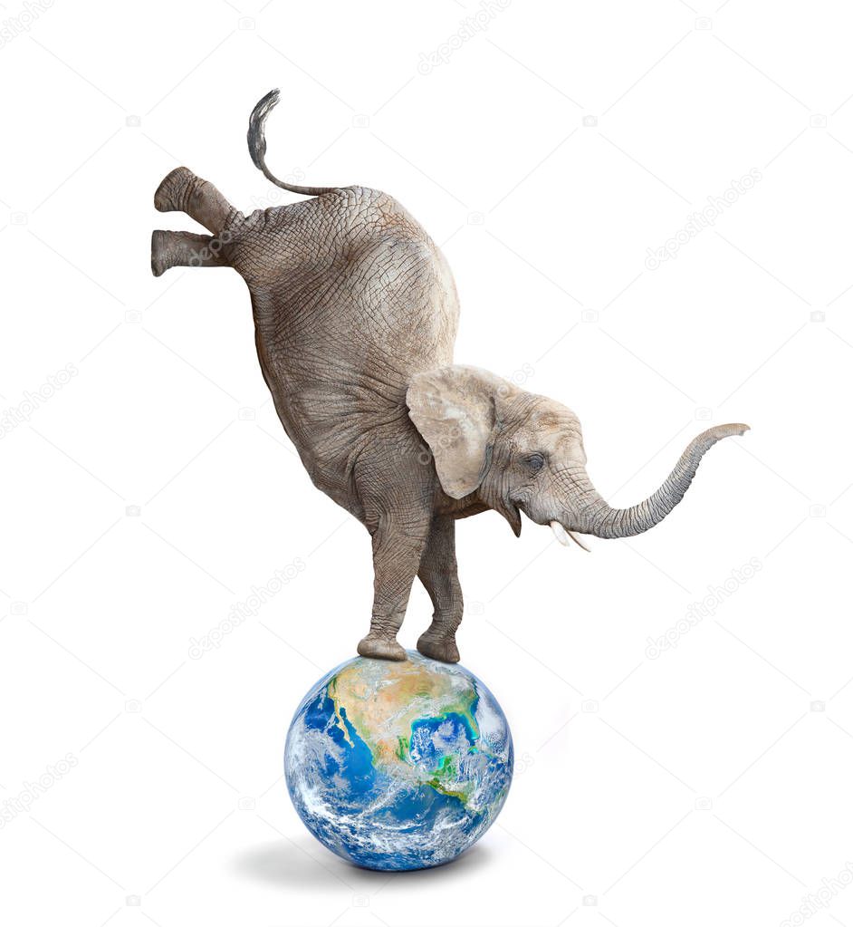 African elephant - Loxodonta africana balancing on a blue planet or globe. Ecology metaphor.