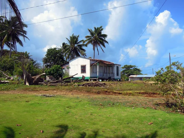 大玉米岛尼加拉瓜中美洲典型的房子建筑煤渣块与椰子树蓝色的天空 — 图库照片