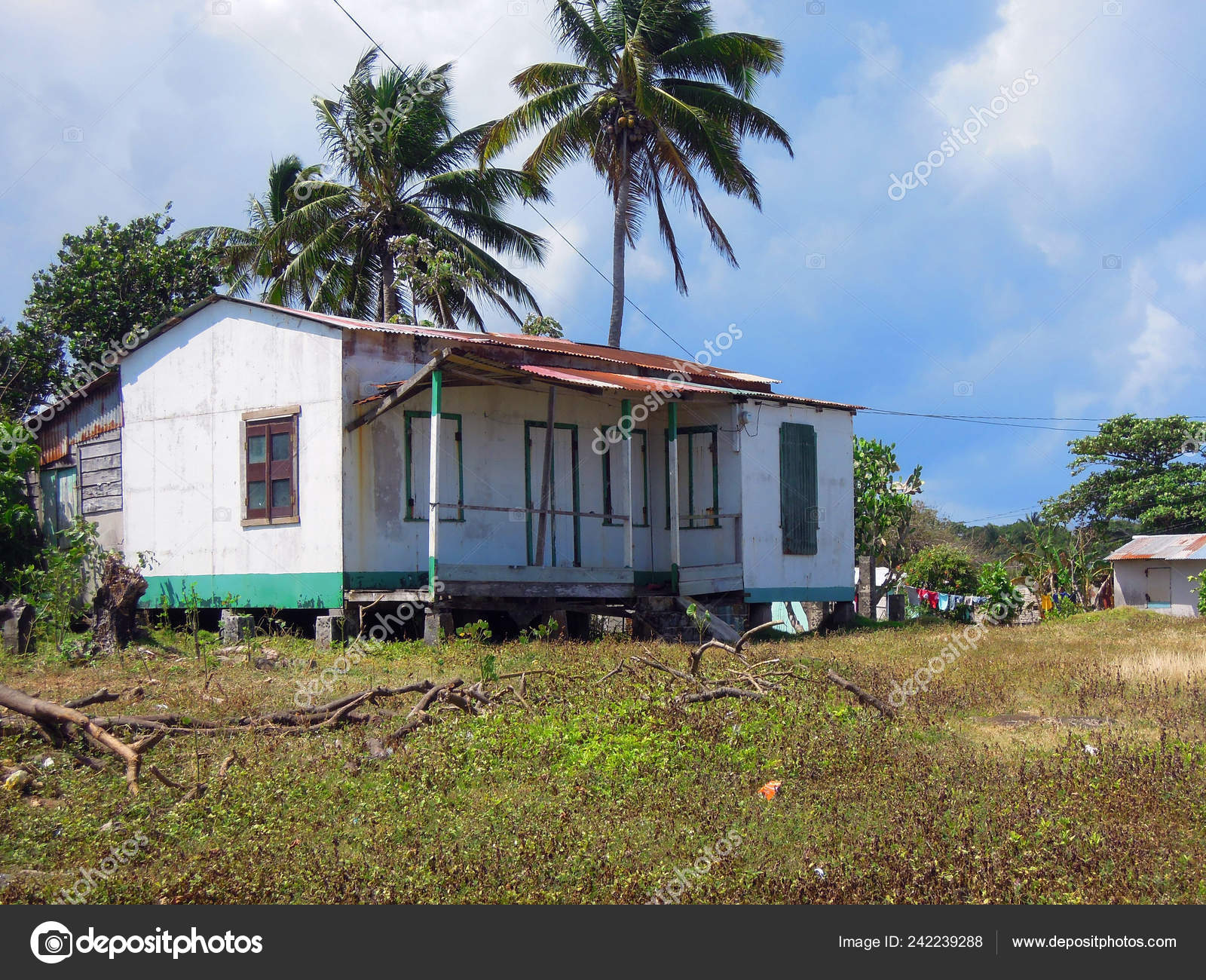 El coco azul nicaragua