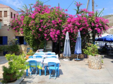 Deniz ürünleri Restoran Kastellorizo, Yunanistan deniz çiçekli