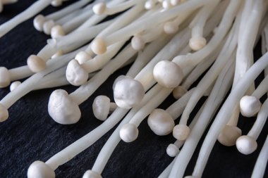 Enoki mantarları, Japon mutfağında ve diğer Asya mutfağında sıkça kullanılan bir malzemedir..