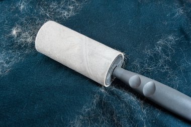 Kedi ve köpek tüyüyle kaplı tişört. Lint silindiri kirli çamaşırhanedeki kürkü temizlemek için kullanılıyor..