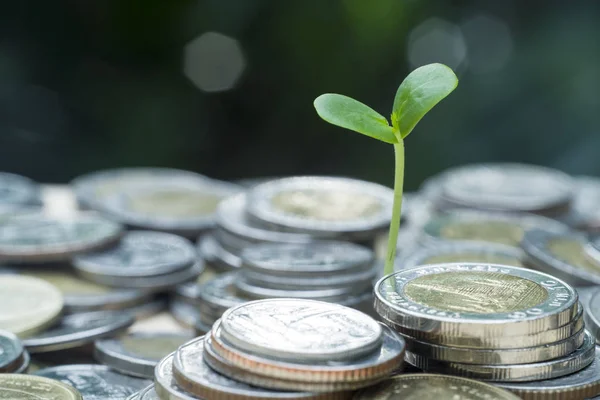 para büyüme kavramı, sikke yığını