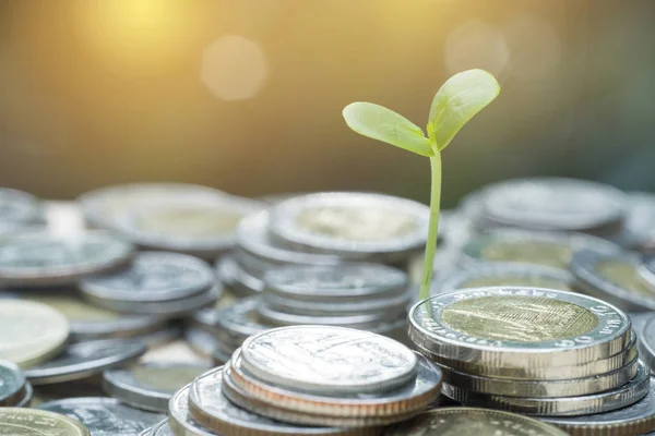 para büyüme kavramı, sikke yığını
