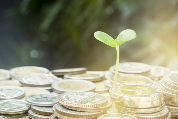 para büyüme kavramı, sikke yığını