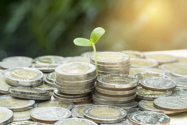 para büyüme kavramı, sikke yığını