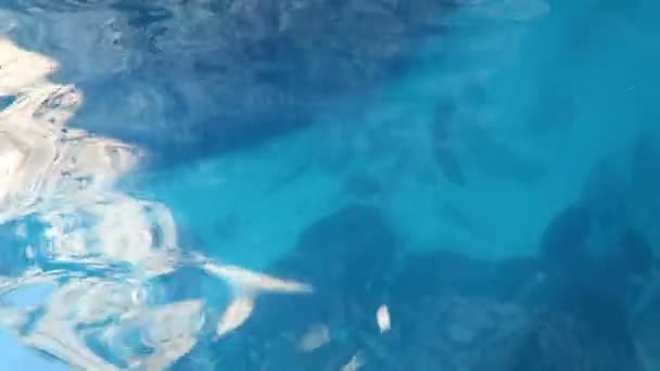Водіння Човна Дивлячись Скельних Морський Пейзаж Корфу Греція — стокове відео