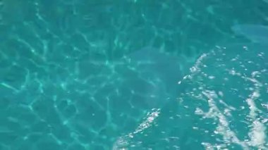 bir tekne ile sürüş. kayalık deniz manzarası arıyorum. Corfu (Yunanistan).