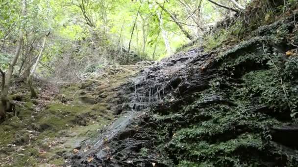 Vattenfall Dorte Ström Dortebachtal Dalgång Vid Floden Mosel Tyskland Del — Stockvideo